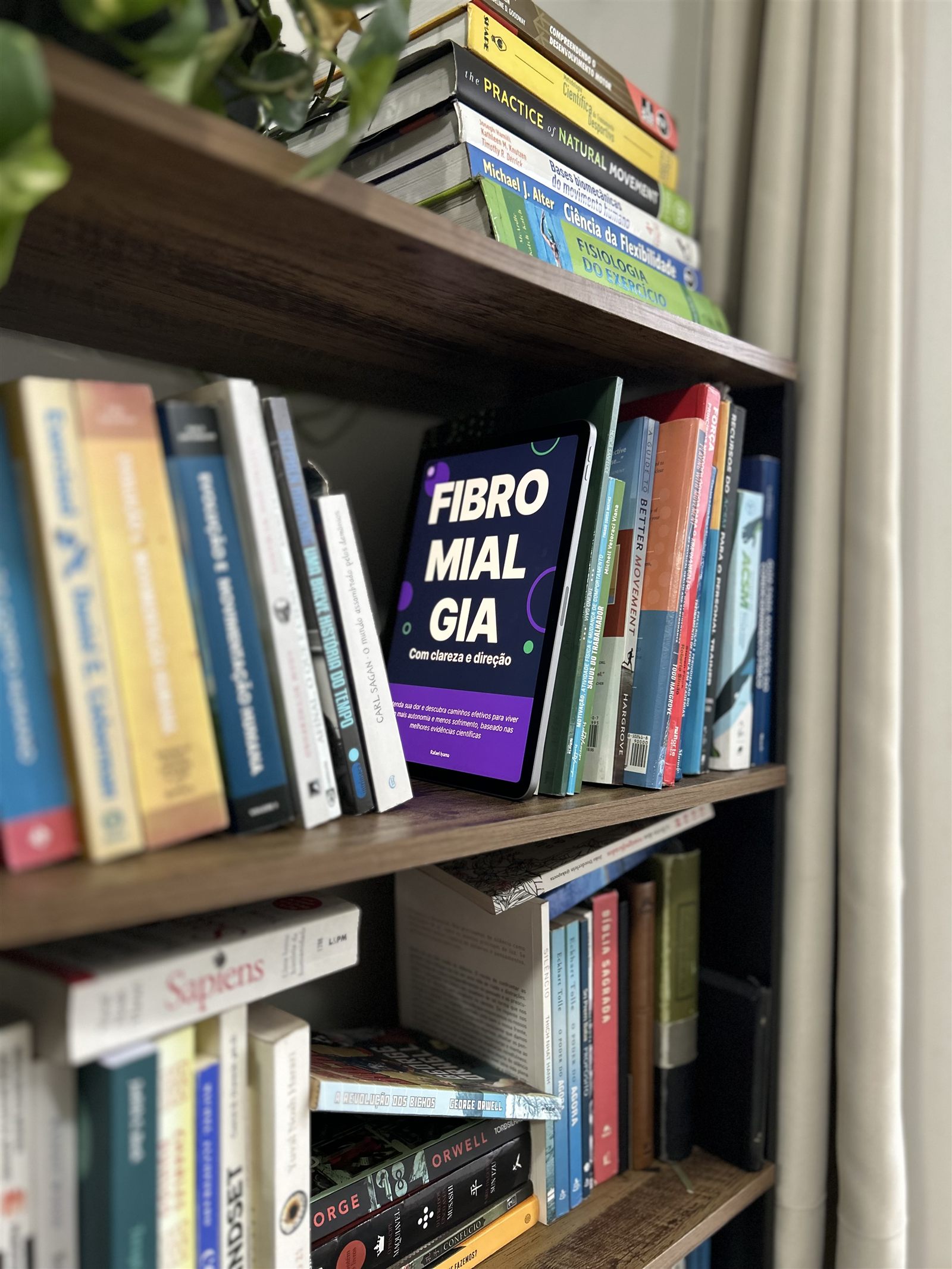 Fibromialgia — Com clareza e direção